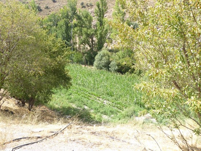 Image No.14-6 Bed Cortijo for sale