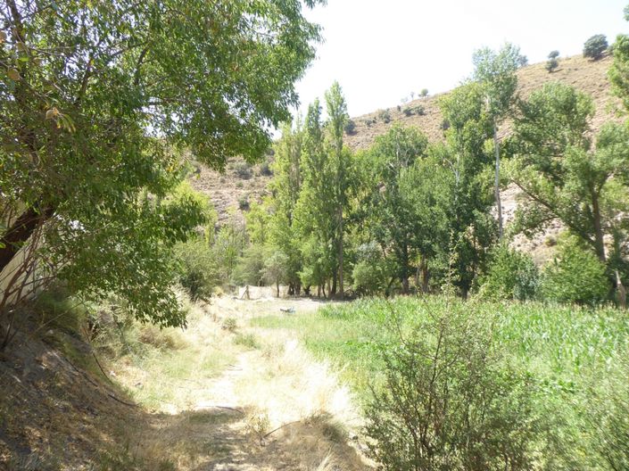 Image No.15-Cortijo de 6 chambres à vendre à Gor