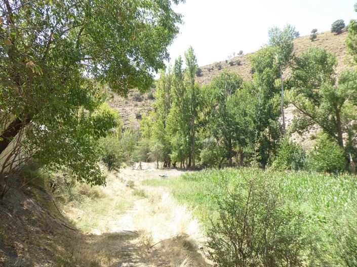 Image No.15-6 Bed Cortijo for sale