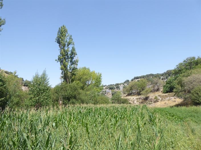 Image No.16-6 Bed Cortijo for sale