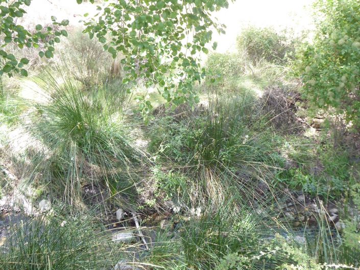 Image No.17-Cortijo de 6 chambres à vendre à Gor