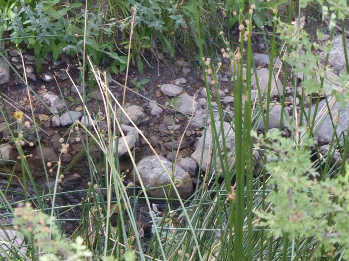 Image No.18-Cortijo de 6 chambres à vendre à Gor