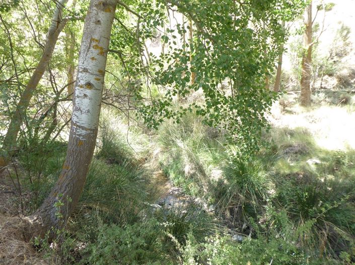 Image No.19-6 Bed Cortijo for sale