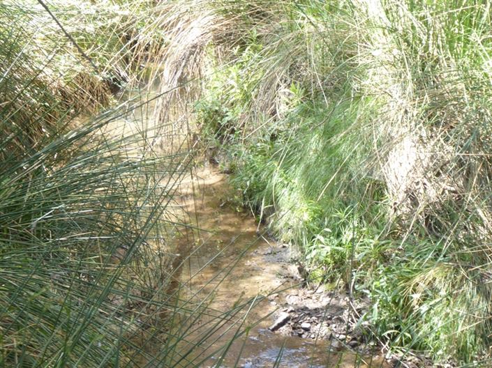 Image No.20-6 Bed Cortijo for sale