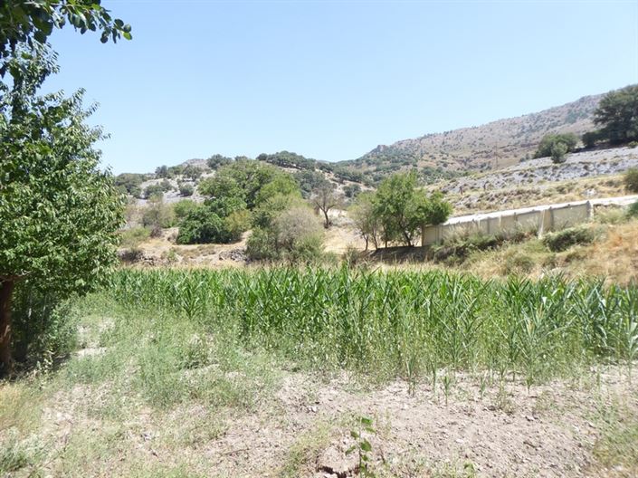 Image No.21-6 Bed Cortijo for sale