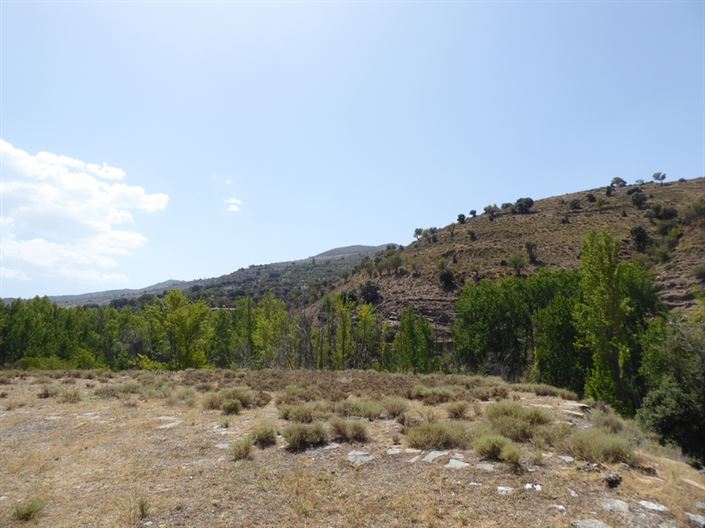 Image No.7-6 Bed Cortijo for sale