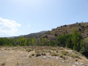 v2912249