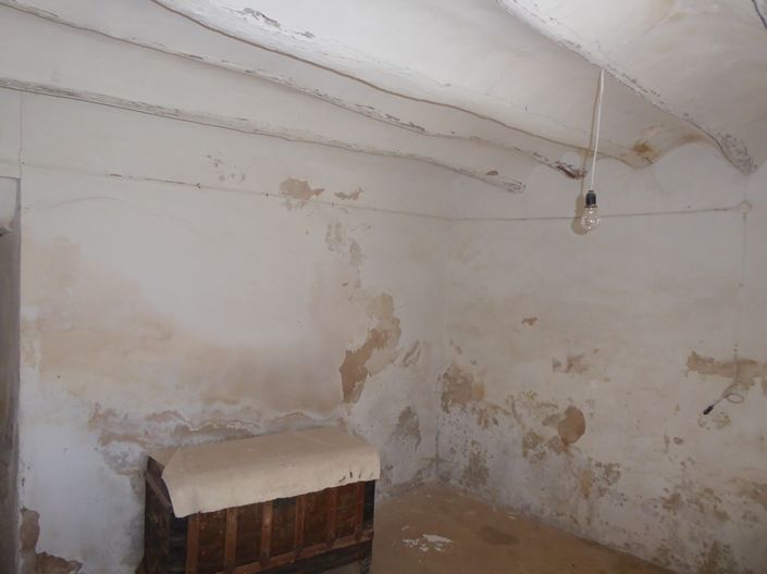 Image No.20-4 Bed Cortijo for sale