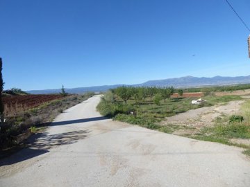v2918244