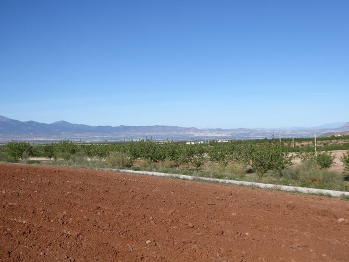 Image No.36-4 Bed Cortijo for sale