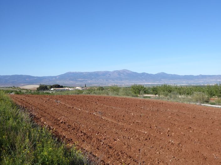 Image No.5-4 Bed Cortijo for sale