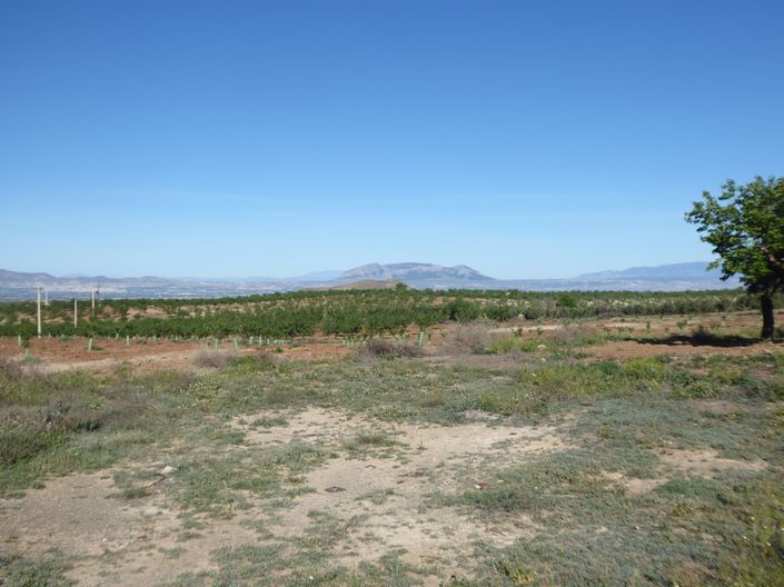 Image No.8-4 Bed Cortijo for sale