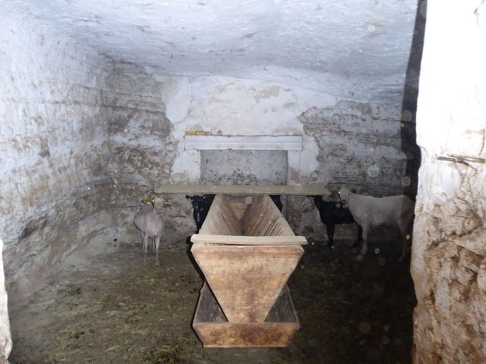 Image No.17-Maison de 10 chambres à vendre à Baza