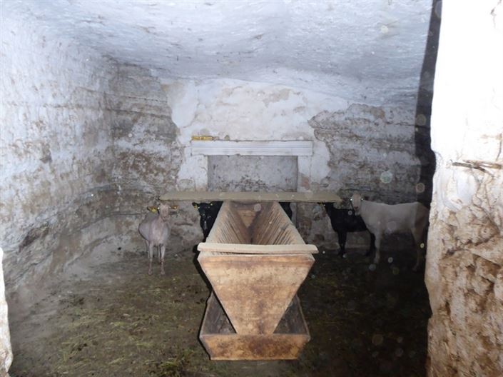 Image No.17-Maison de 10 chambres à vendre à Baza