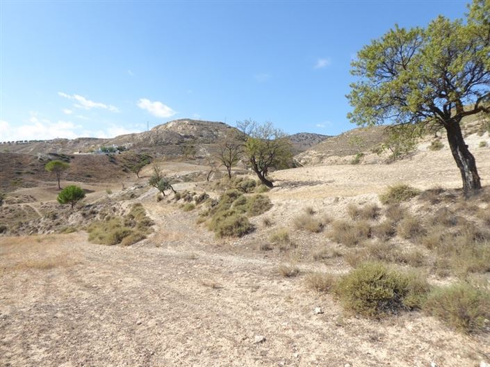 Image No.33-Maison de 10 chambres à vendre à Baza