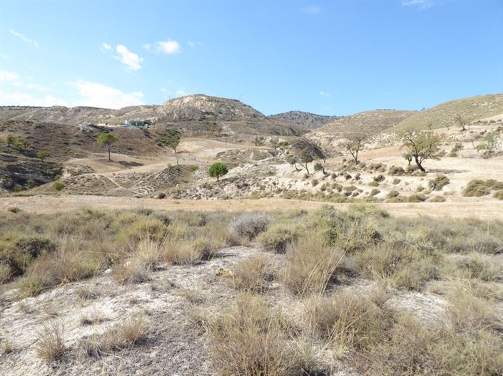 Image No.35-Maison de 10 chambres à vendre à Baza