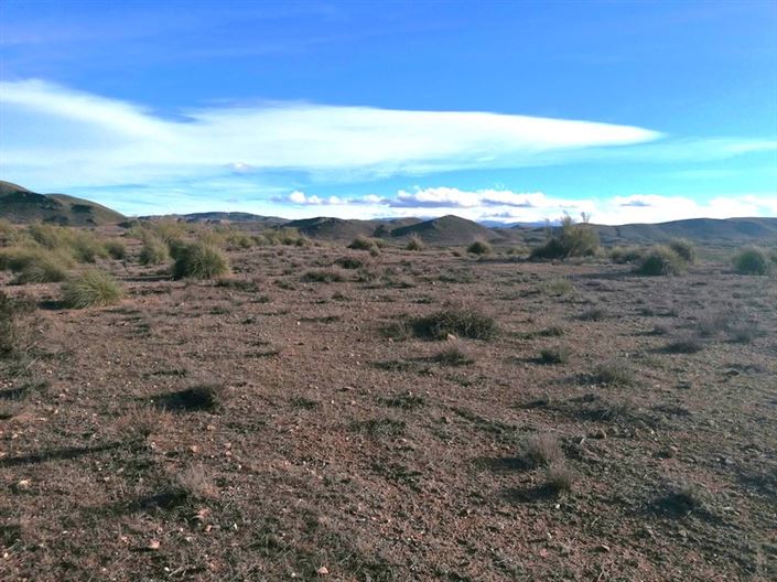 Image No.4-Property for sale