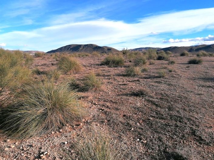 Image No.5-Property for sale