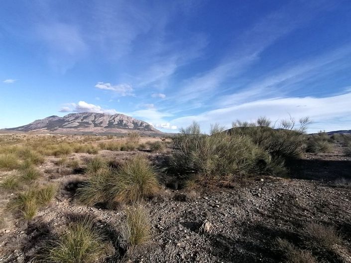 Image No.6-Property for sale