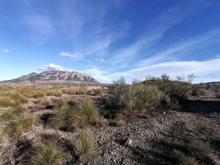 Image No.6-Property for sale