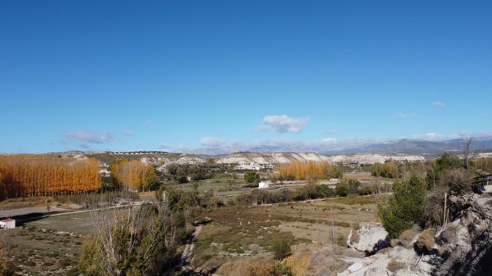 Image No.5-Maison de 7 chambres à vendre à Castillejar