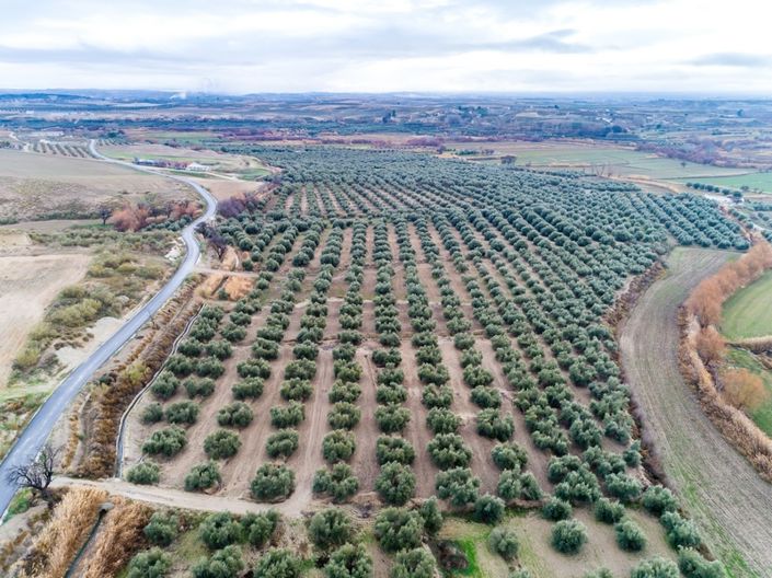 Image No.37-Cortijo de 5 chambres à vendre à Benamaurel
