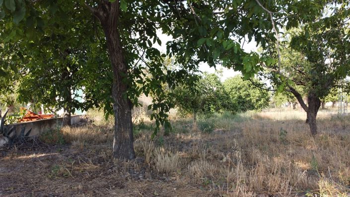 Image No.12-7 Bed Cortijo for sale