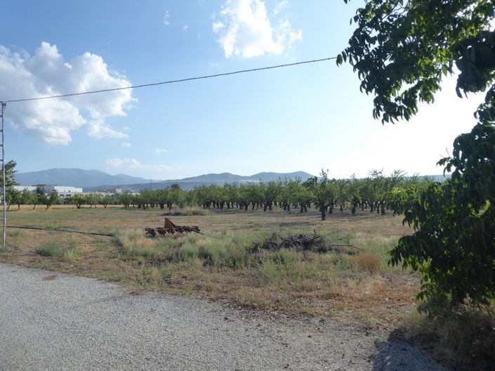 Image No.17-7 Bed Cortijo for sale