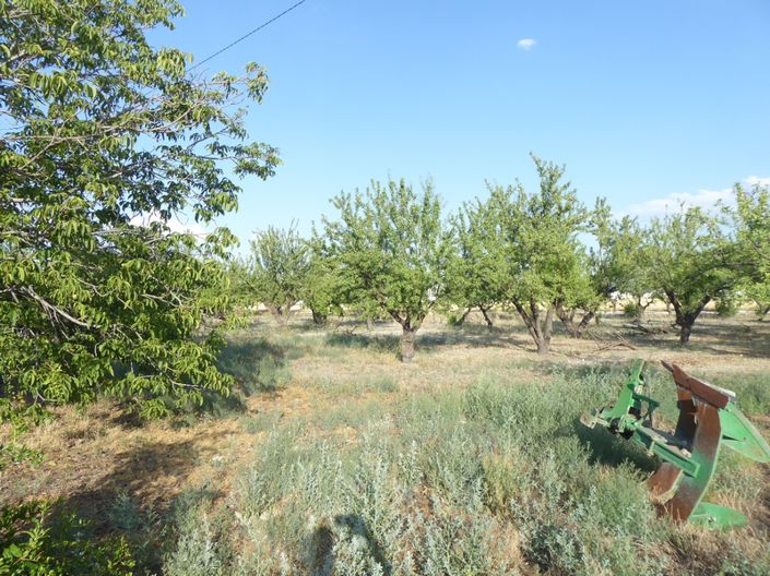 Image No.18-7 Bed Cortijo for sale