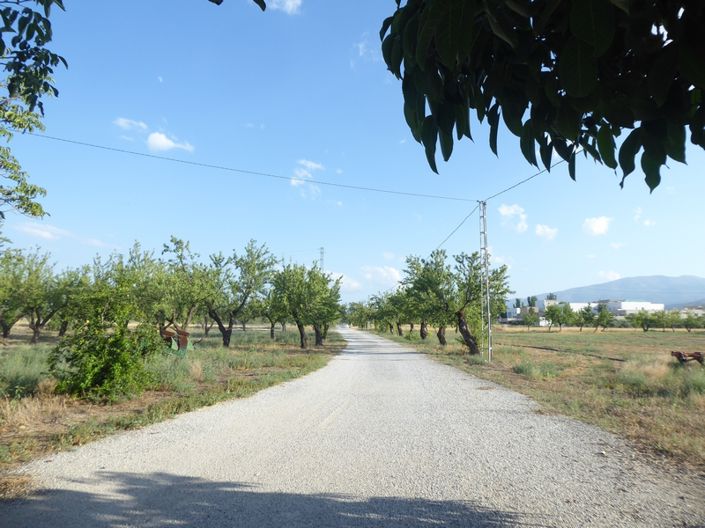 Image No.28-7 Bed Cortijo for sale