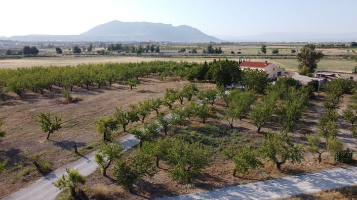 Image No.4-7 Bed Cortijo for sale