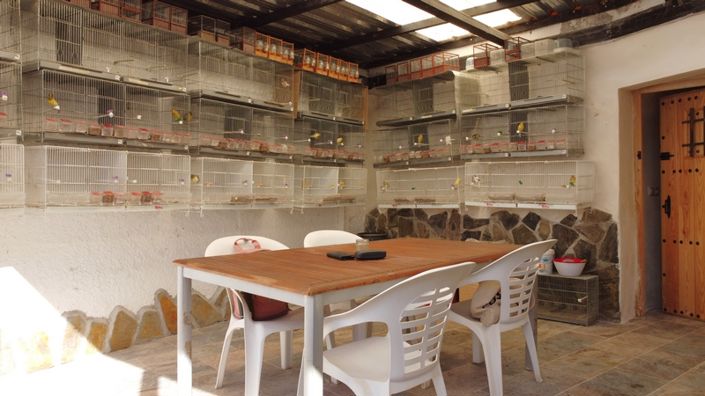 Image No.24-4 Bed House for sale