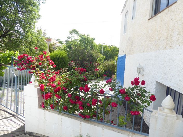 Image No.3-Propriété de 7 chambres à vendre à Castillejar