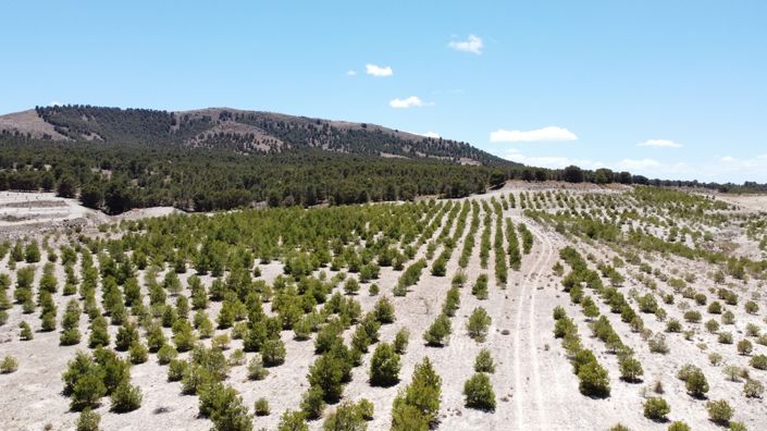 Image No.25-Maison de 6 chambres à vendre à Orce