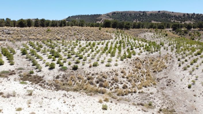 Image No.28-6 Bed House for sale