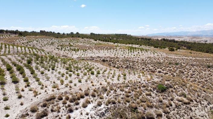 Image No.29-Maison de 6 chambres à vendre à Orce