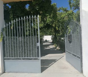 v3005253