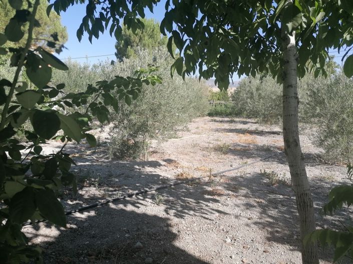 Image No.17-6 Bed Property for sale