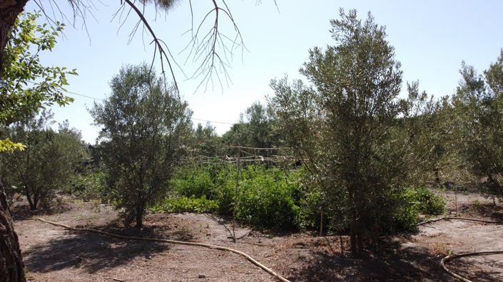 Image No.6-6 Bed Property for sale