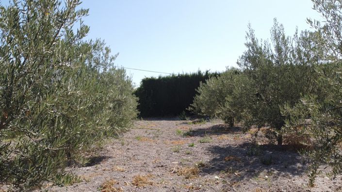 Image No.8-6 Bed Property for sale