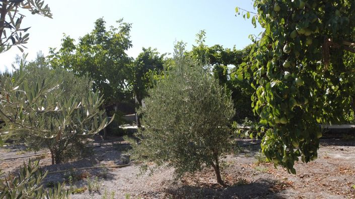 Image No.9-6 Bed Property for sale