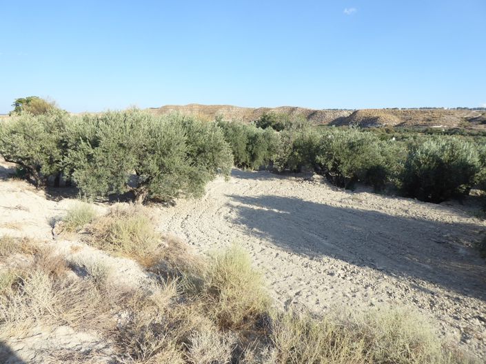 Image No.32-Maison de 5 chambres à vendre à Benamaurel
