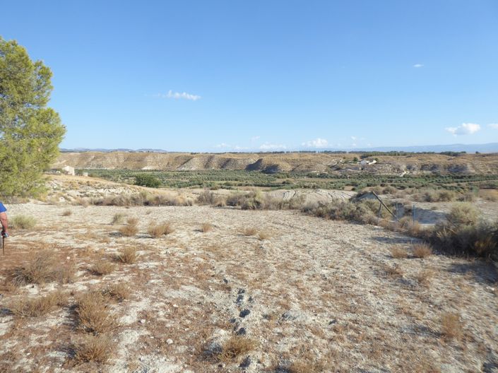 Image No.6-Maison de 5 chambres à vendre à Benamaurel