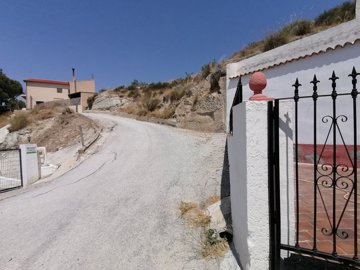 v2996253