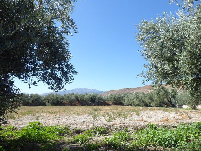 Image No.29-3 Bed Property for sale