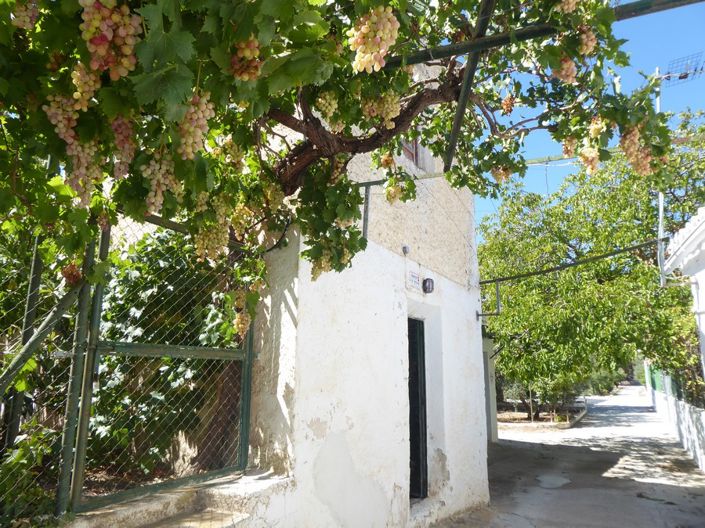 Image No.4-3 Bed Cortijo for sale
