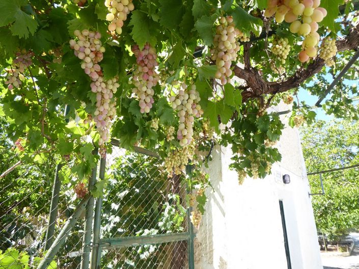 Image No.36-3 Bed Cortijo for sale