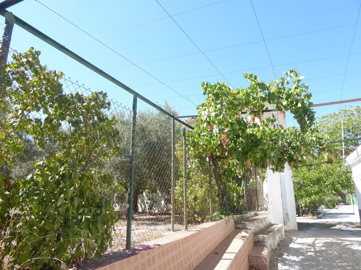 Image No.37-3 Bed Cortijo for sale