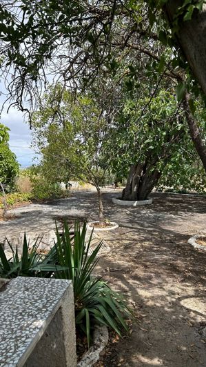 Image No.42-3 Bed Cortijo for sale