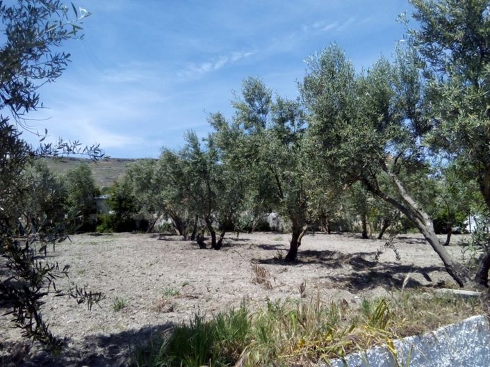 Image No.45-3 Bed Cortijo for sale